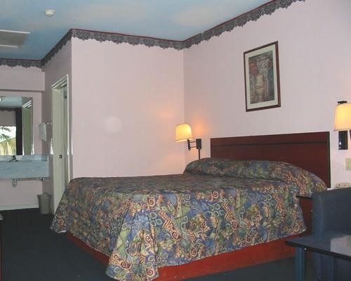 Scottish Antonie Dr Otel Houston